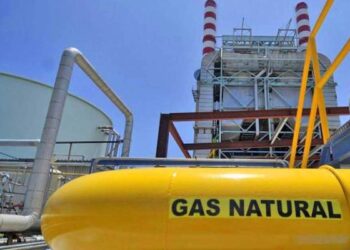 Priorizan el consumo doméstico de gas y cortaron el suministro a las industrias