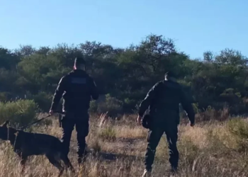 Las Rabonas: un hombre que estaba desaparecido fue hallado descuartizado