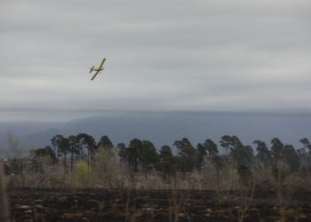 Declaran emergencia ambiental por riesgo de incendio en Córdoba