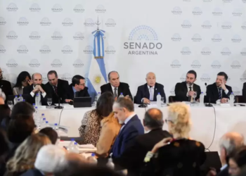 Ley Bases: se pospuso la firma del dictamen en el Senado