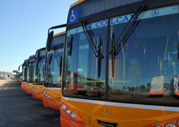 Transporte urbano: ya circulan las nuevas unidades de la línea 43 de Coniferal