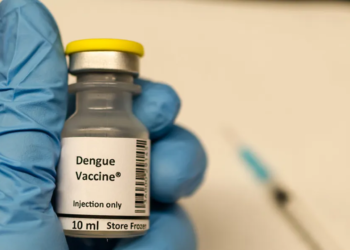 El Gobierno incorporará la vacuna contra el dengue según la zona y situación epidemiológica