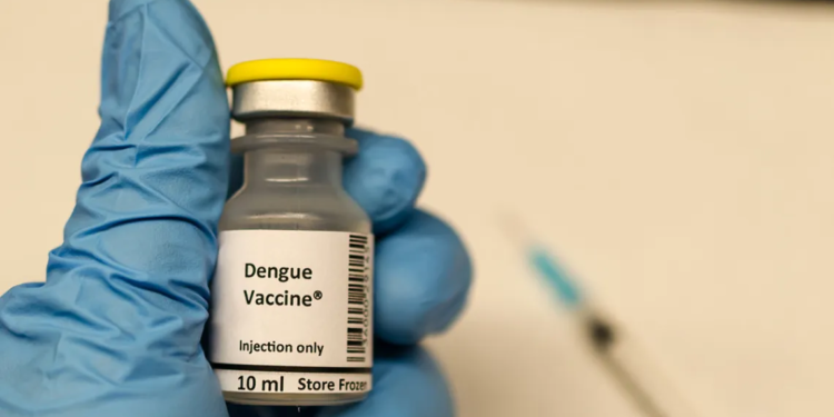 El Gobierno incorporará la vacuna contra el dengue según la zona y situación epidemiológica