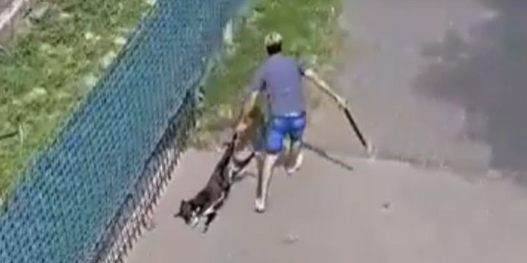 Habló el hermano del veterinario falso de Villa Allende que mató a golpes a una perra: "Que se haga cargo de lo que hizo"