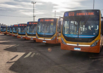 Rige el paro de colectivos y este martes no hay transporte urbano