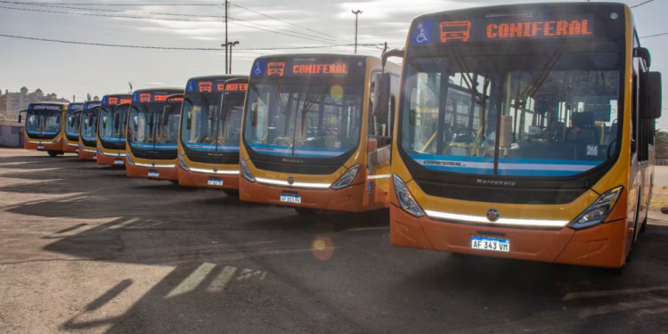 Rige el paro de colectivos y este martes no hay transporte urbano