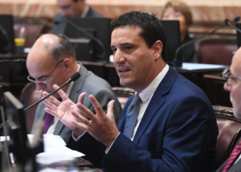 Ley Bases: un senador de la UCR anticipó al Gobierno que no logrará dictamen esta semana