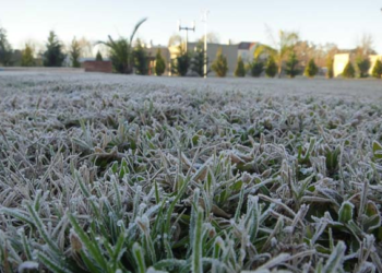 Alerta por heladas y viento del sur en Córdoba