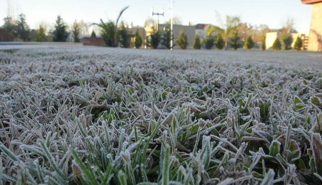 Alerta por heladas y viento del sur en Córdoba