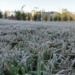Alerta por heladas y viento del sur en Córdoba