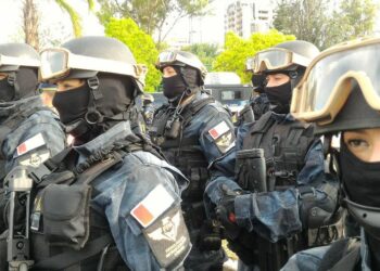 La FPA desarticuló una banda narco y hay nueve detenidos