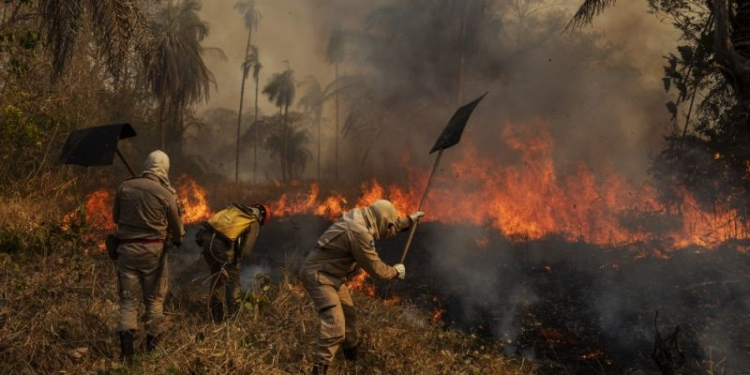 Brasil declaró estado de emergencia por incendios en El Pantanal