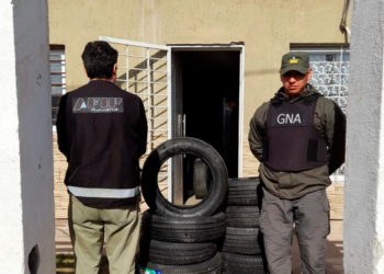 Gendarmería incautó un millonario cargamento de neumáticos