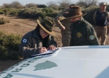 Doce personas detenidas por caza ilegal de ñandúes en el Parque Nacional Ansenuza