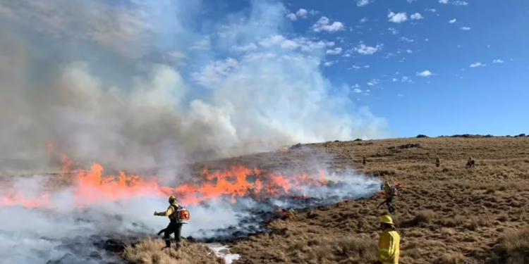 Riesgo extremo por incendios forestales en diez provincias