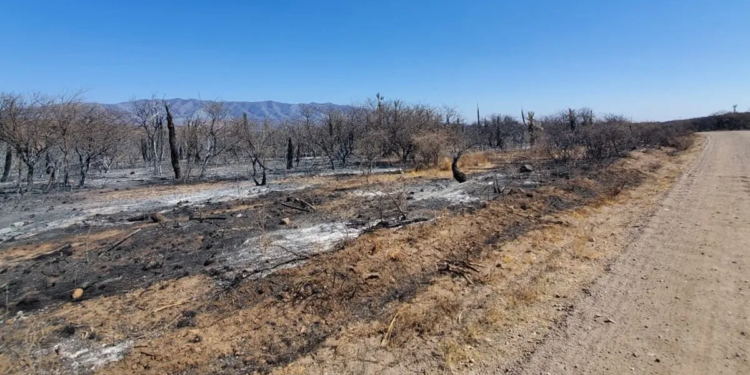 El incendio en La Calera está contenido, con perímetros inestables