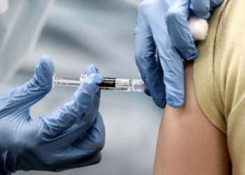 El gobierno Nacional lanzó un plan de vacunación contra el dengue