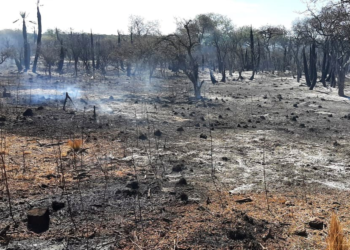 Bomberos controlaron cuatro incendios en el norte provincial