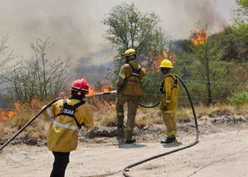 Bomberos combaten un incendio forestal en El Durazno