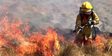 Incendios: el Gobierno informó qué recursos envió para el combate del fuego