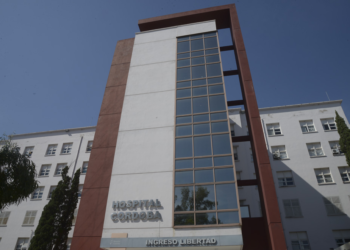 Violencia familiar: apuñaló a su esposa e hirió a su hijo