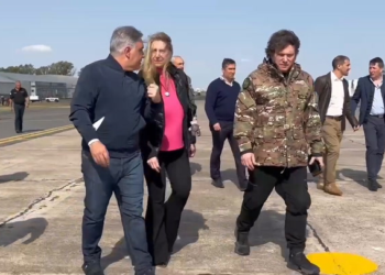 Milei sobrevoló la zona de los incendios y no bajó a tierra