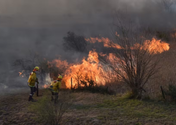 Incendios en Córdoba: controlaron el foco en La Calera y habilitaron la autopista