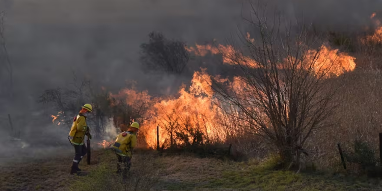 Incendios en Córdoba: controlaron el foco en La Calera y habilitaron la autopista