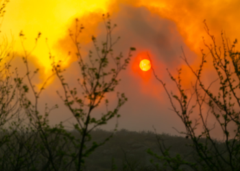 El Senado aprobó la emergencia ambiental por los incendios