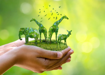 Día Mundial de los Animales: por qué se conmemora hoy