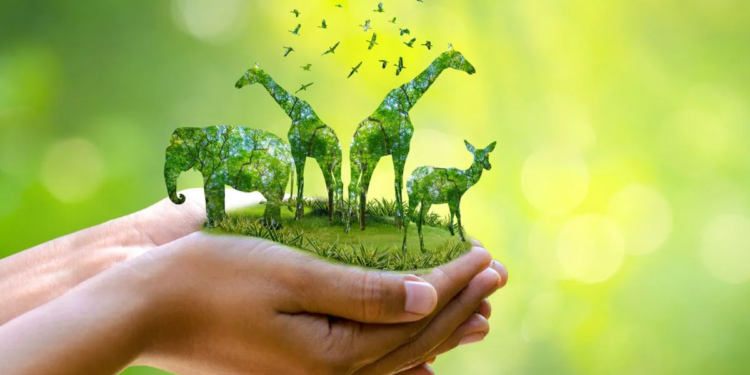 Día Mundial de los Animales: por qué se conmemora hoy