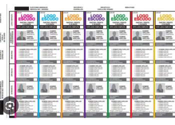 El Gobierno reglamentó la Boleta única de papel
