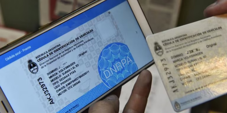 El Gobierno reglamentó la Cédula azul digital a través de Mi Argentina