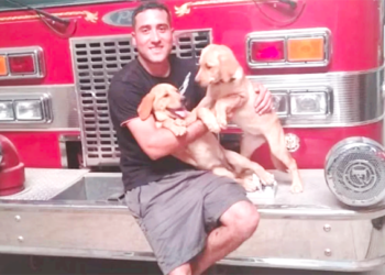 Caso Luana Ludueña: la Justicia condenó a Emiliano Conti a tres años