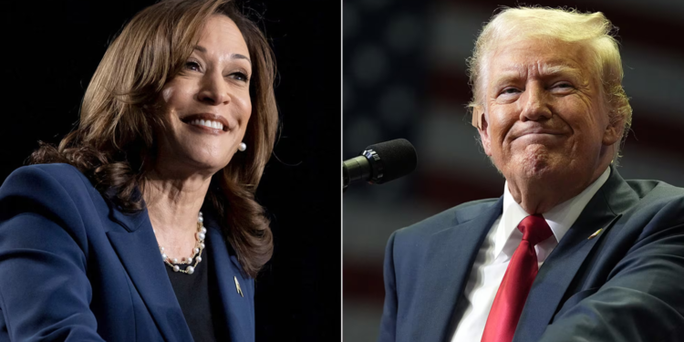 Elecciones en Estados Unidos: ¿ A qué hora se conocerán los resultados?