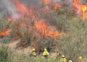 Condenaron a un hombre por originar un incendio forestal en Córdoba