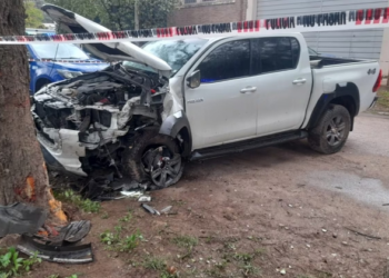 Intentaban robar una casa, le dispararon a un policía y chocaron contra un árbol en la fuga