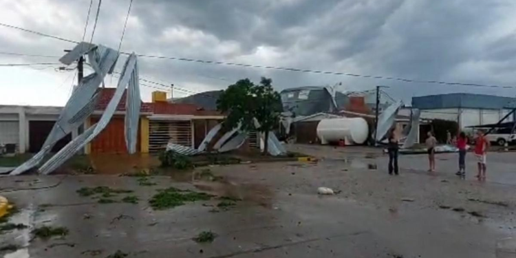 Temporal en La Playosa provocó voladura de techos, caída de árboles y postes de luz