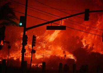 Fuego en California: Biden declaró zona catastrófica
