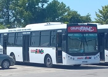 La Municipalidad rescindió el contrato con la empresa FAM