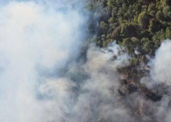 El incendio en el Parque Nacional Nahuel Huapi ya consumió 3.500 hectáreas
