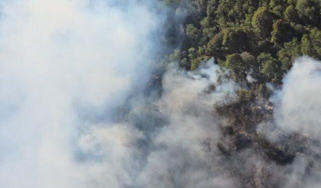 El incendio en el Parque Nacional Nahuel Huapi ya consumió 3.500 hectáreas