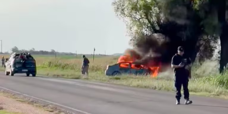 Un hombre mató a su pareja y luego se estrelló con su auto