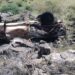 Fin de semana trágico: se registraron múltiples accidentes viales, rescates e incendios