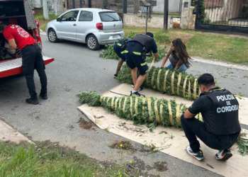 Megaoperativo: 50 personas detenidas y se incautaron armas y drogas