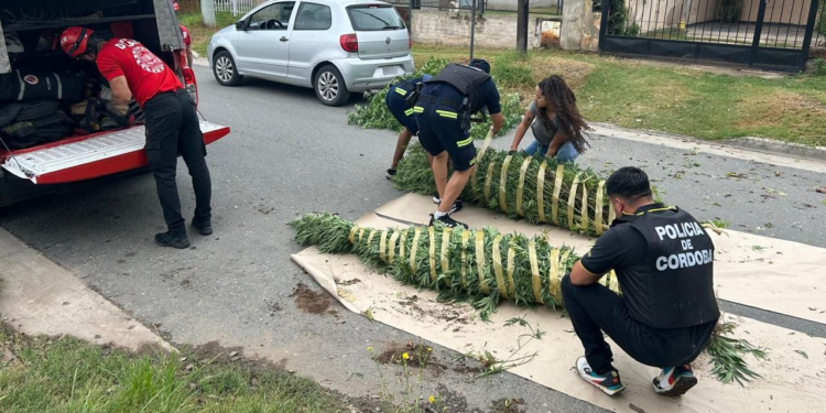 Megaoperativo: 50 personas detenidas y se incautaron armas y drogas