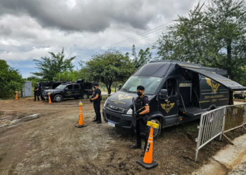 Más de mil dosis de drogas incautadas en el Cosquín Rock