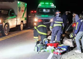 Volcó una camioneta con trabajadores que iban a combatir los incendios en el Parque Lanín