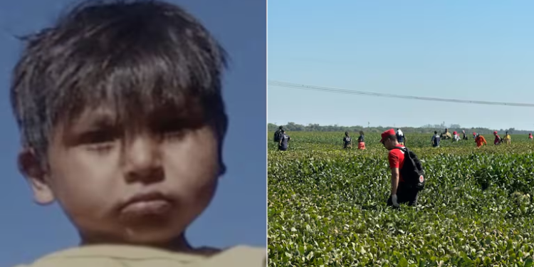 Intensa búsqueda de Liam: activan el alerta Sofía