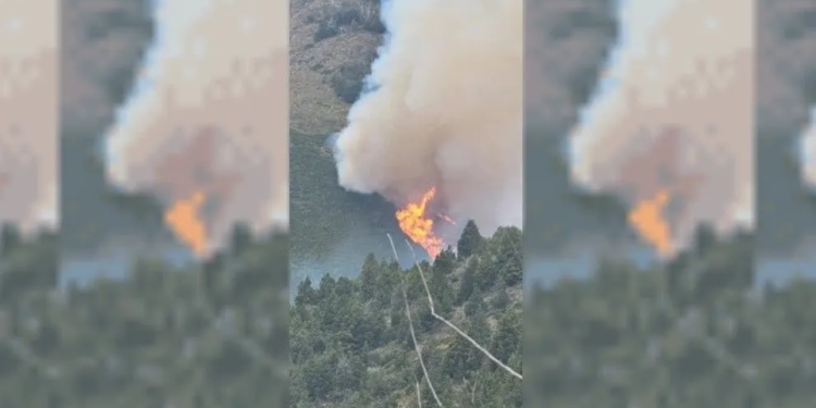 Un hombre admitió haber iniciado el incendio en el cerro Meta
